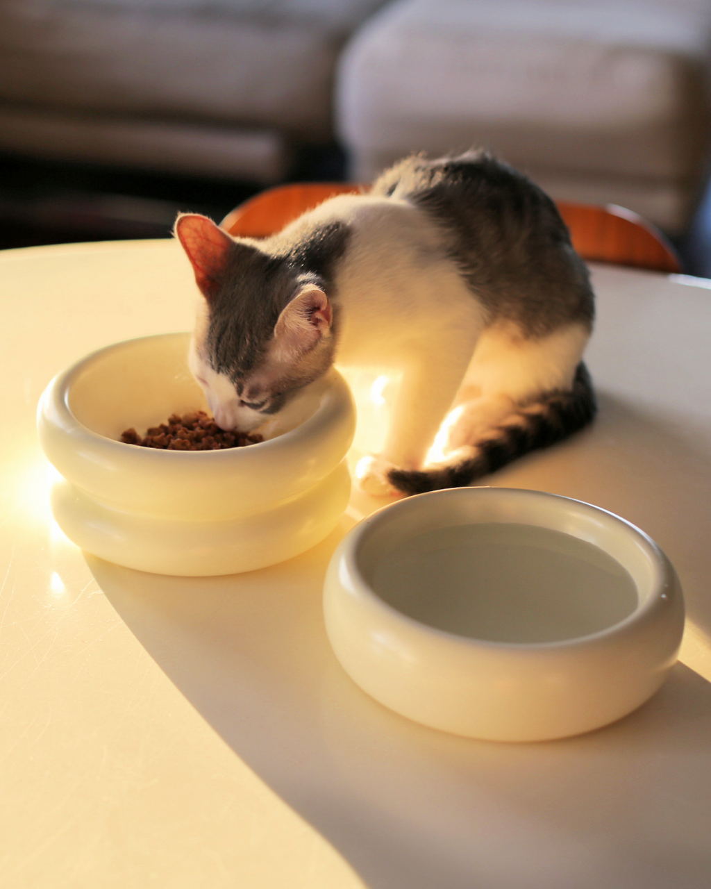 Catenary Elevated Halo Bowl