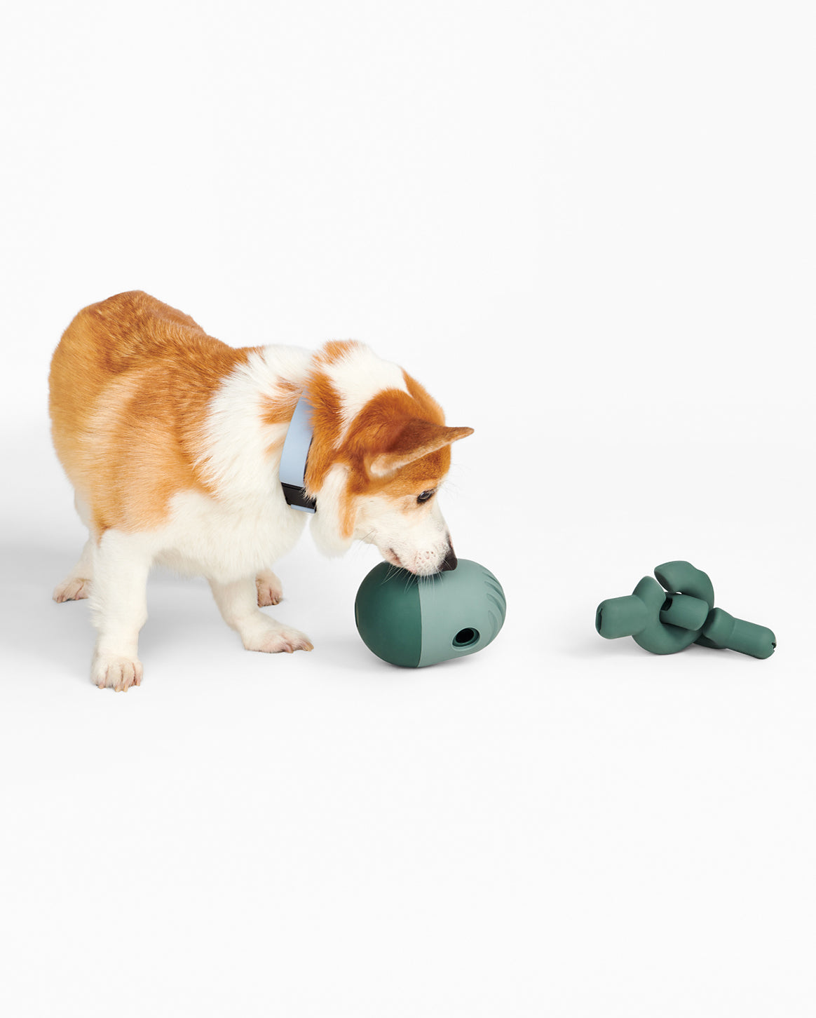 Enrichment Set