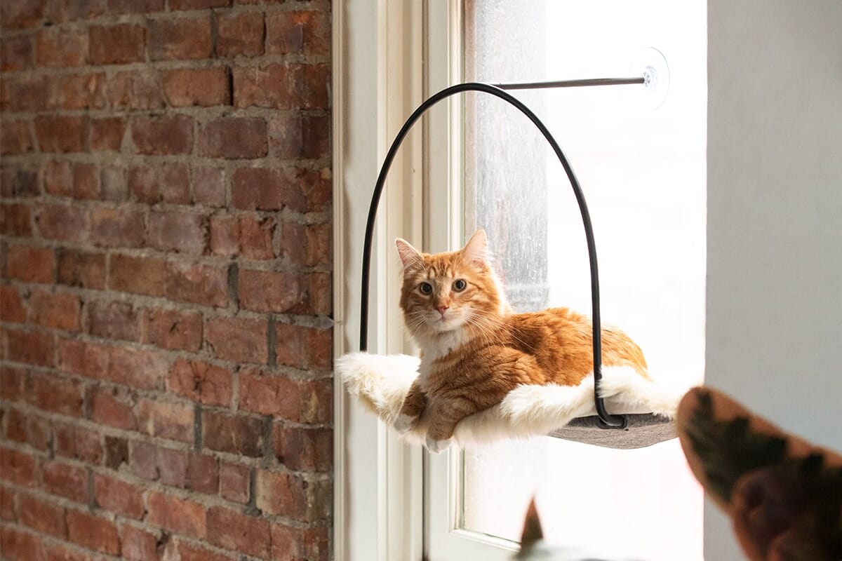 tuft + paw Cloud Nine Window Hammock