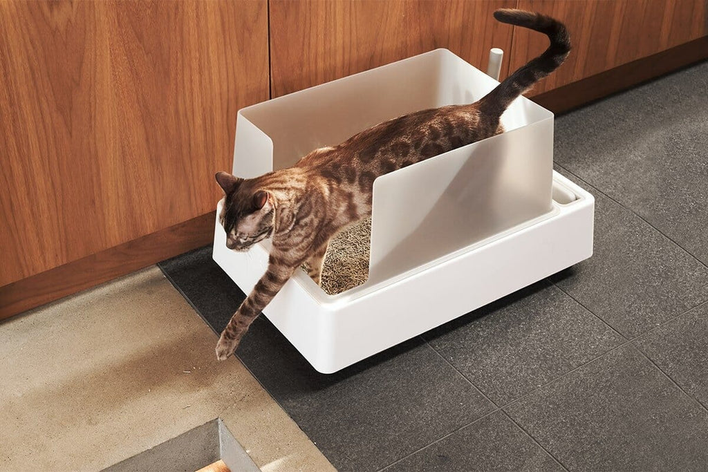tuft + paw Cove Litter Box