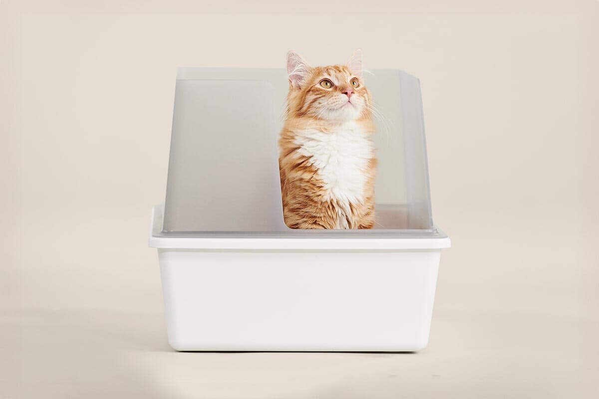 tuft + paw Cubby Litter Box