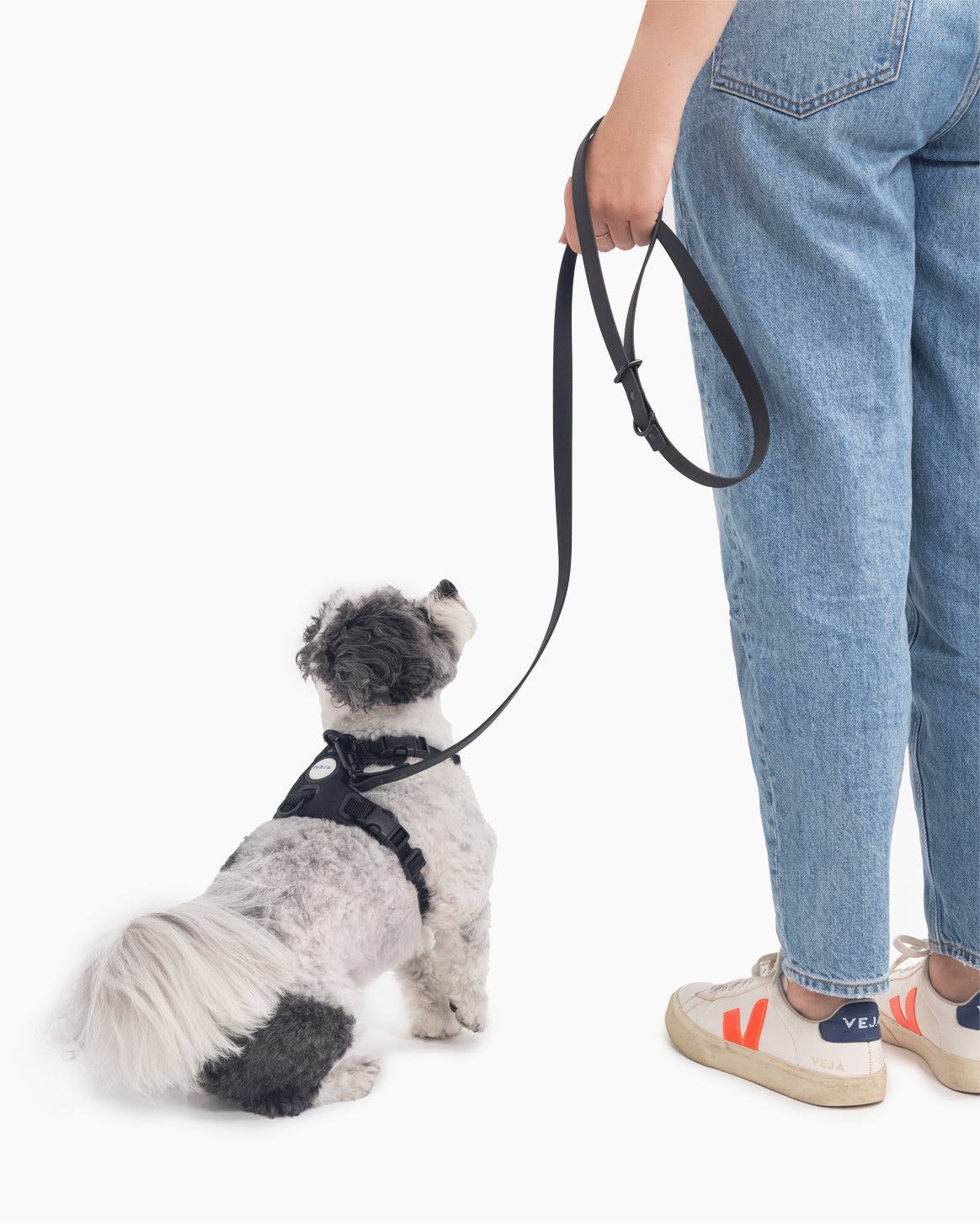 Everyday Walk Set