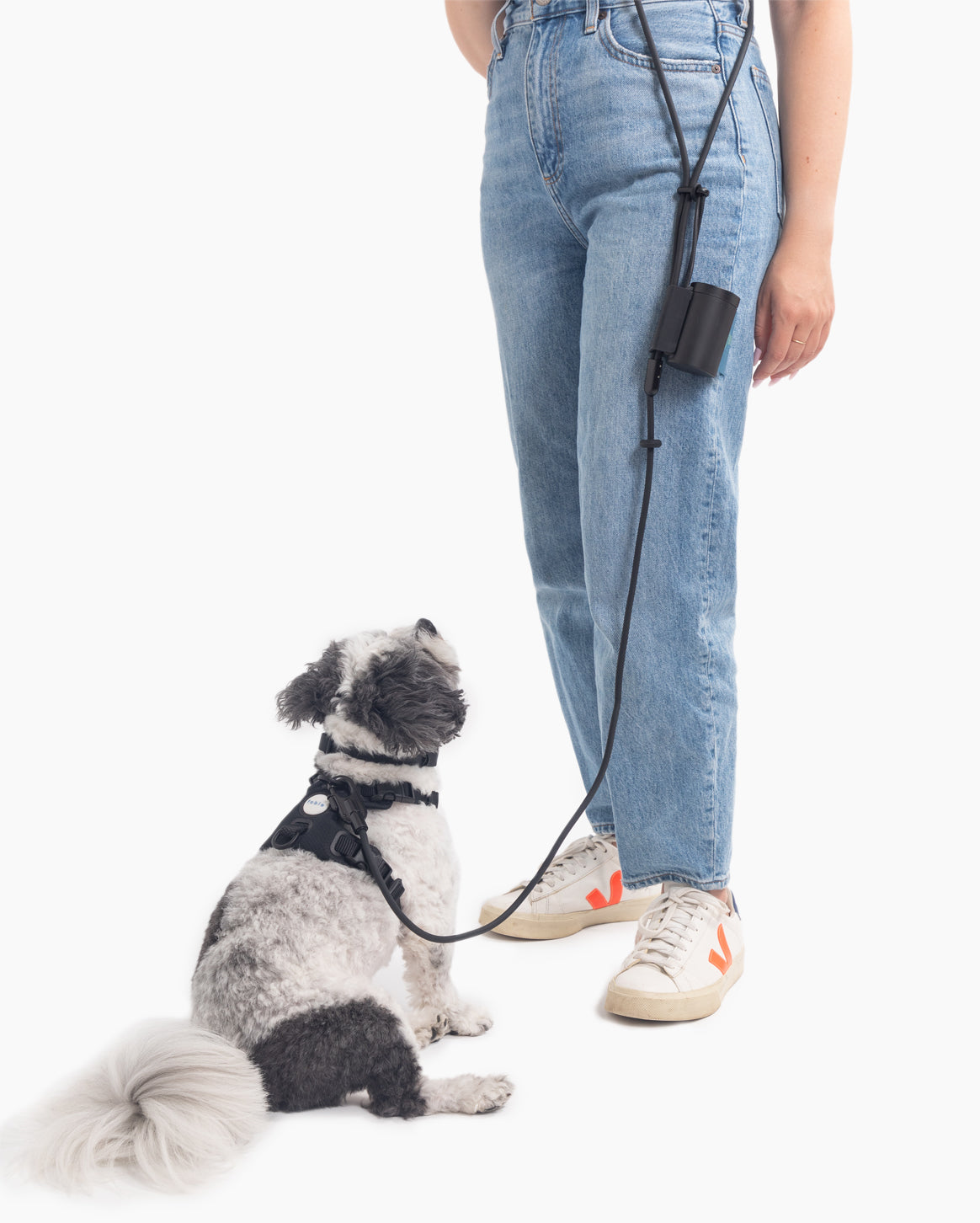 Ultimate Walk Set
