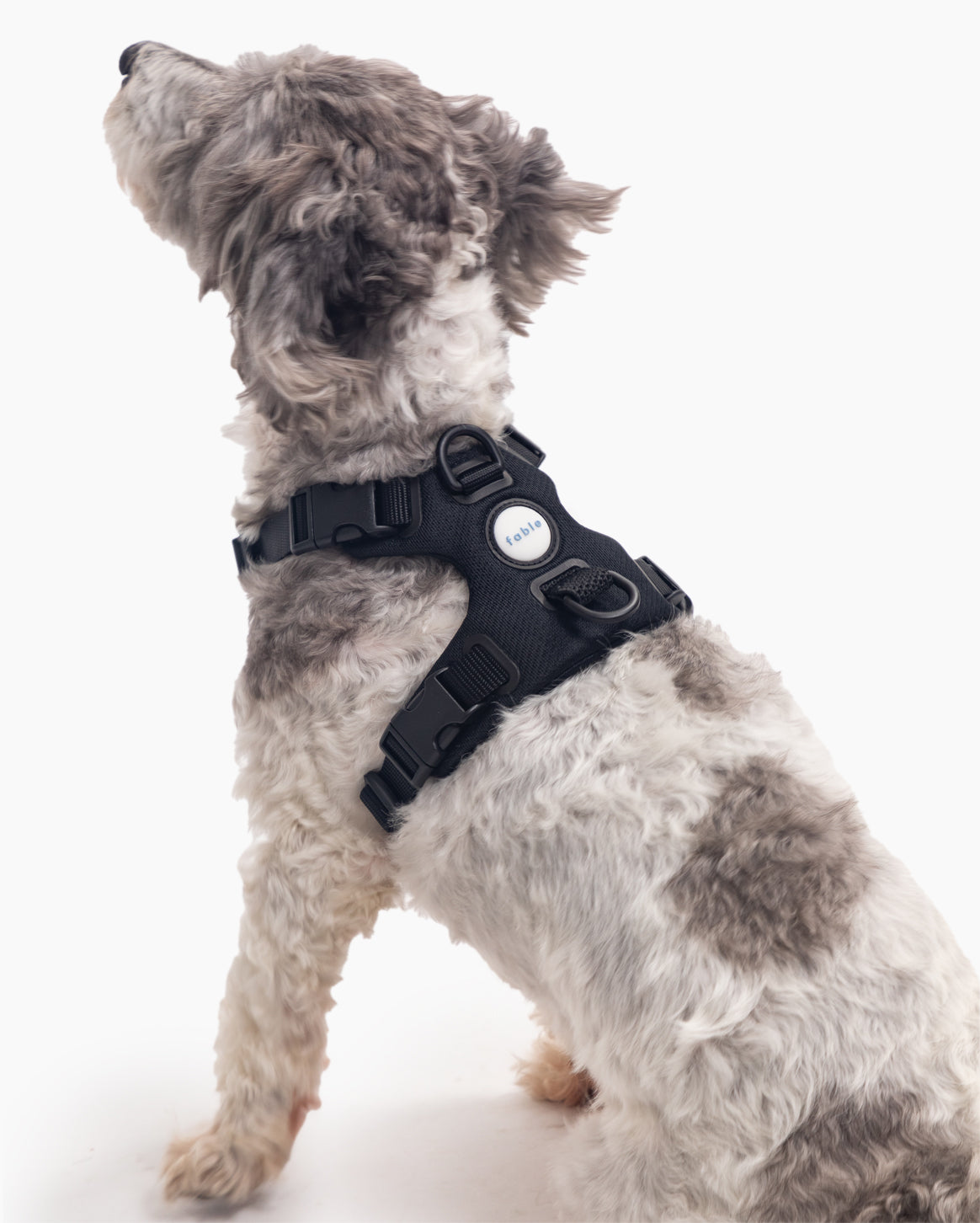 Signature Harness