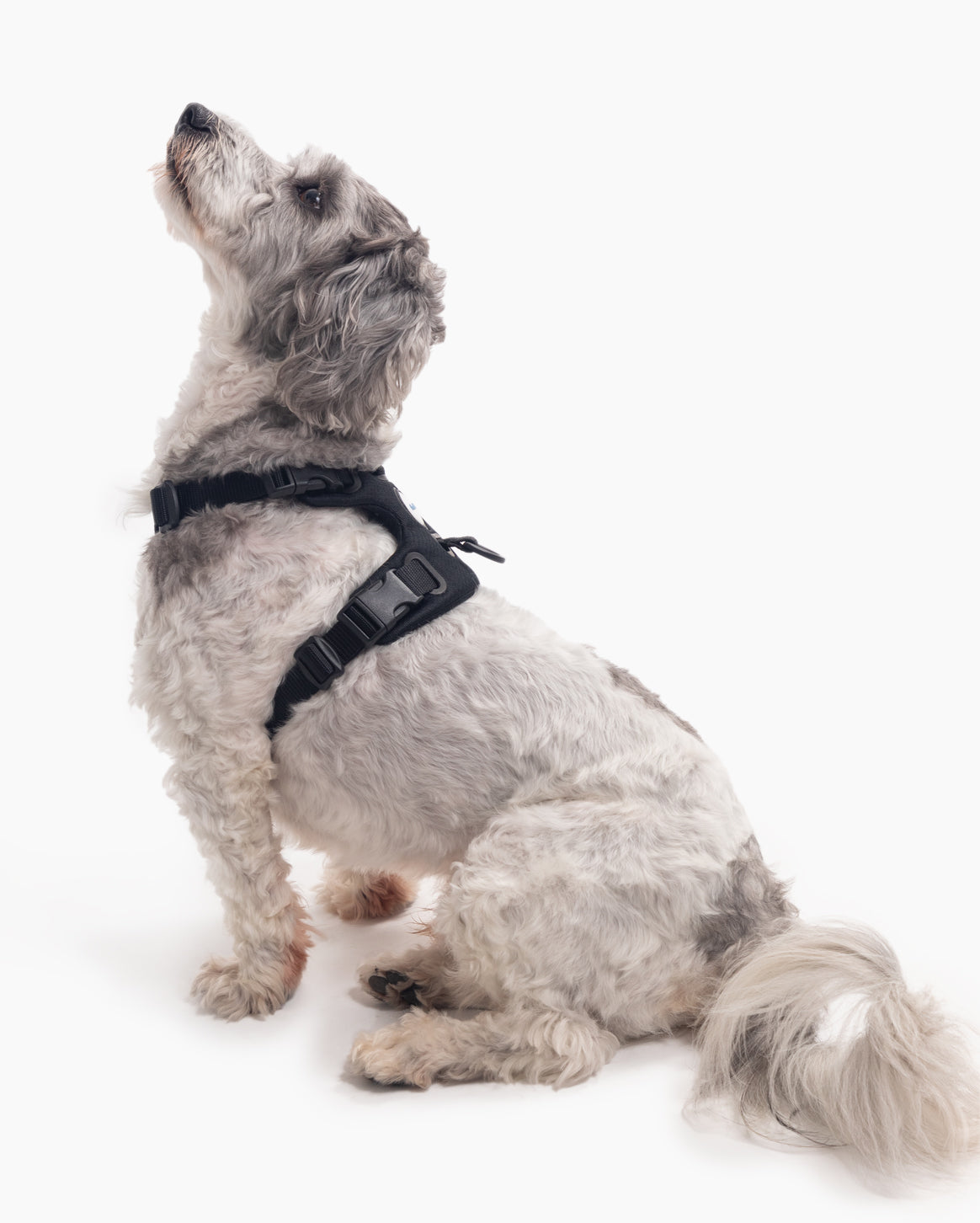 Signature Harness