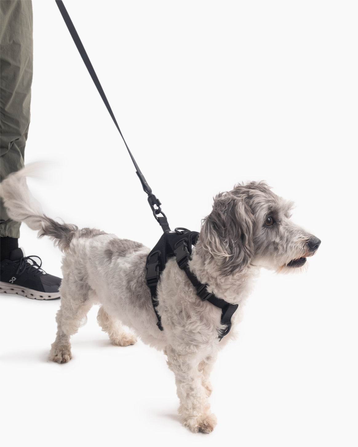 Everyday Walk Set