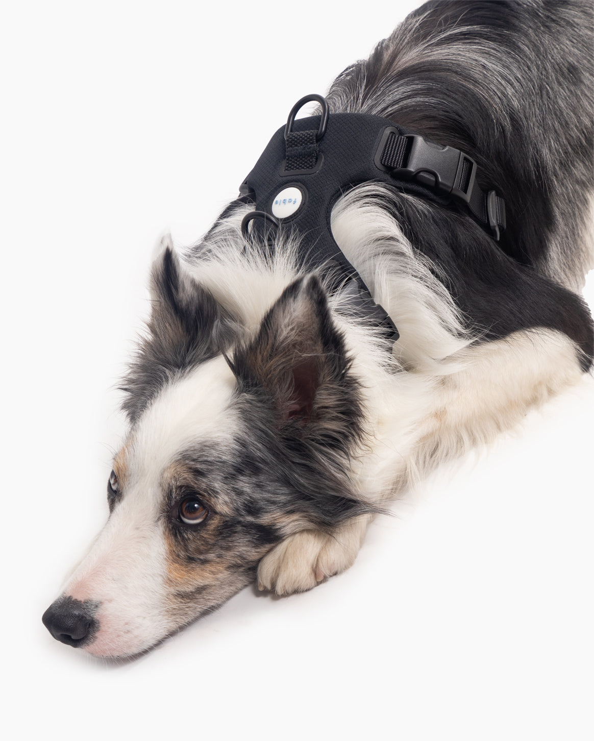 Signature Harness