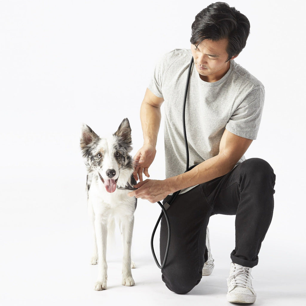 Magic Leash®