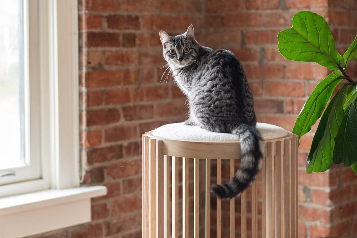 tuft + paw Grove Cat Tower