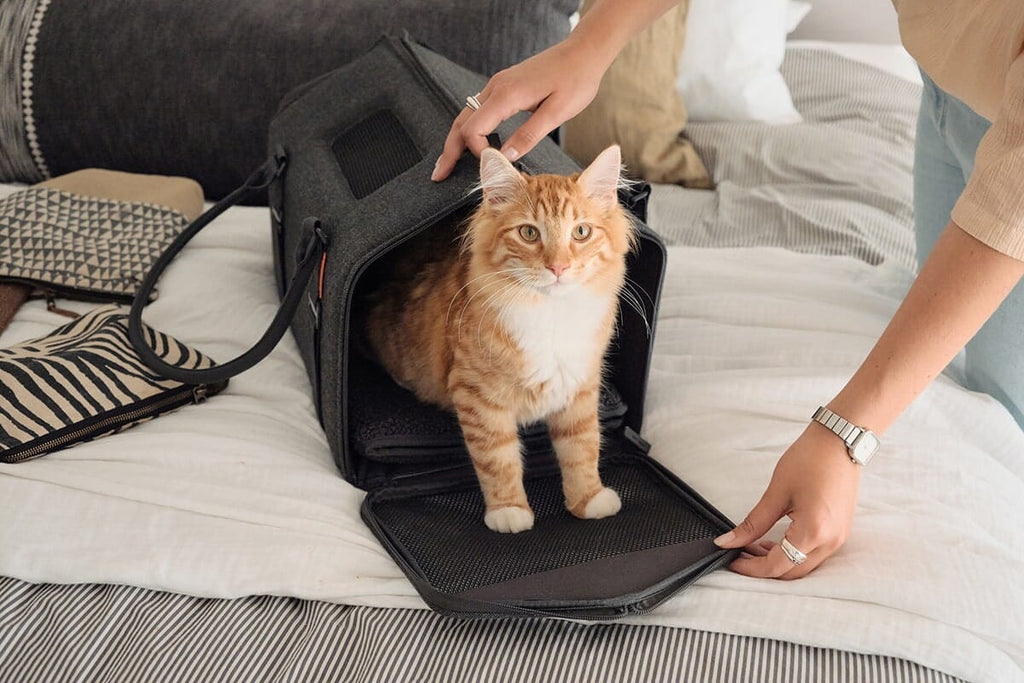 tuft + paw Porto Cat Carrier