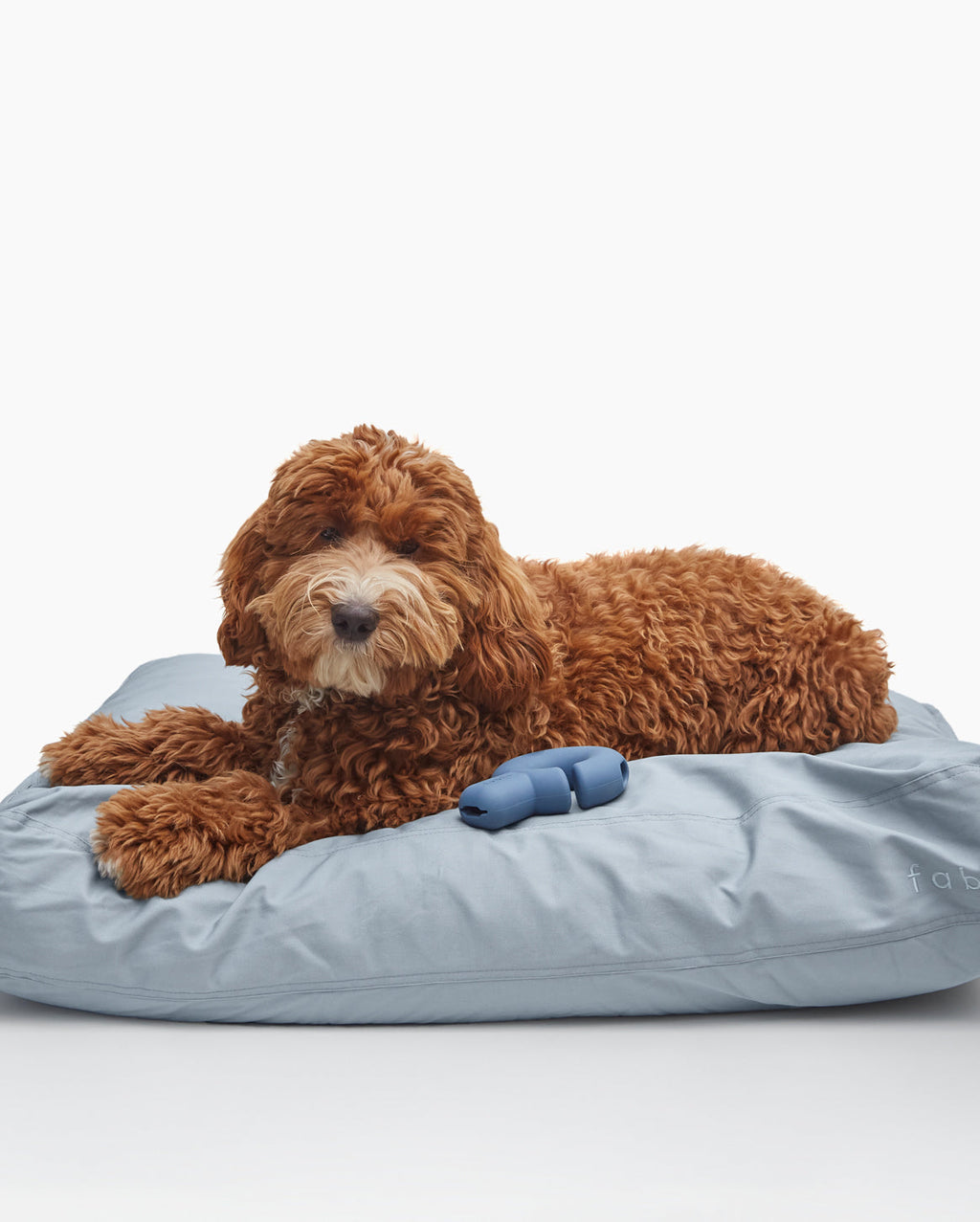 Bed Cover