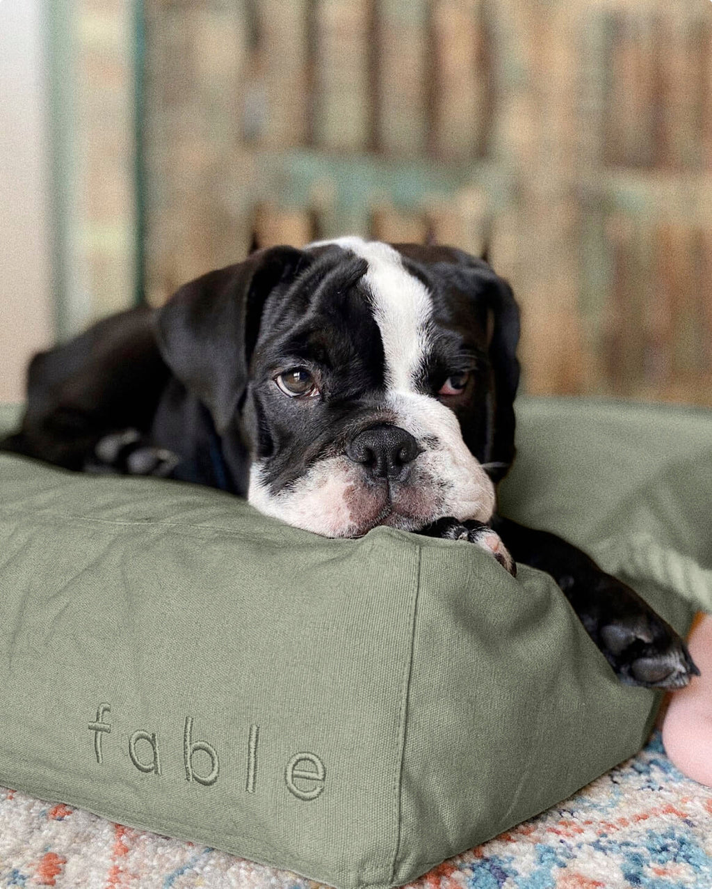Bed Cover
