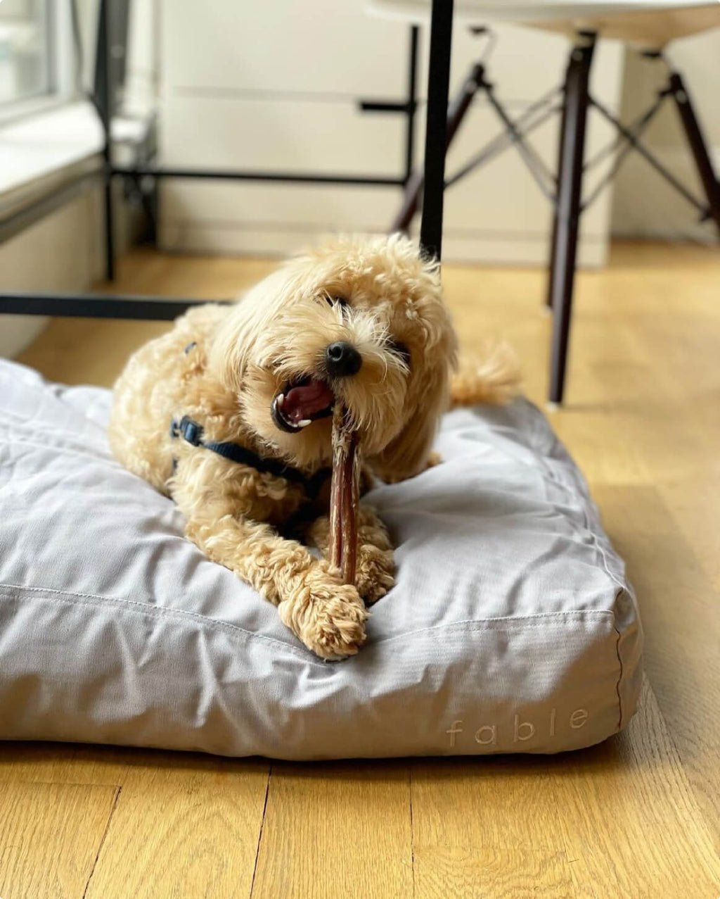 Bed Cover