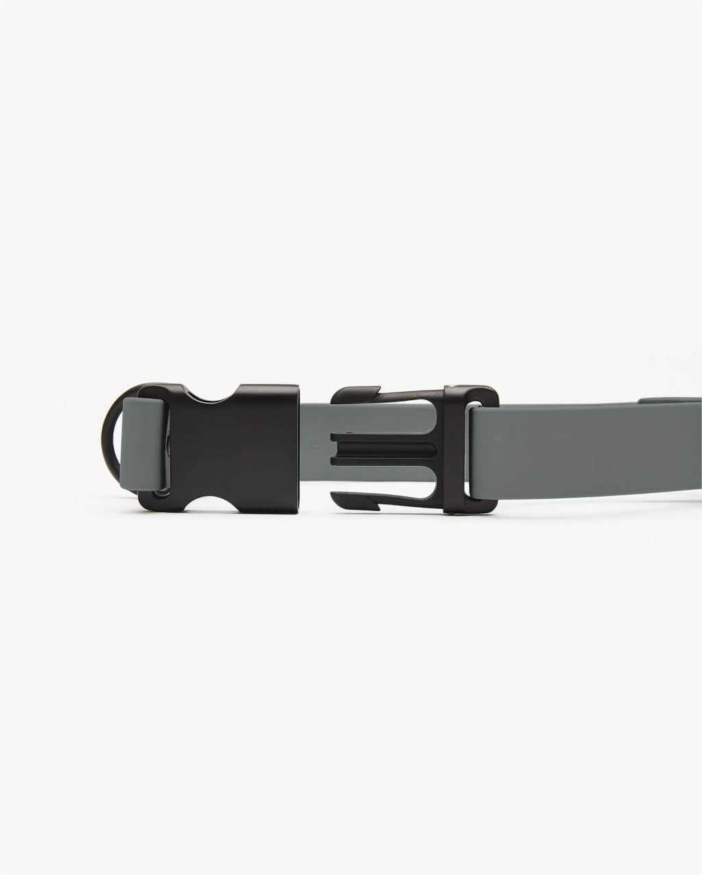 Signature Collar