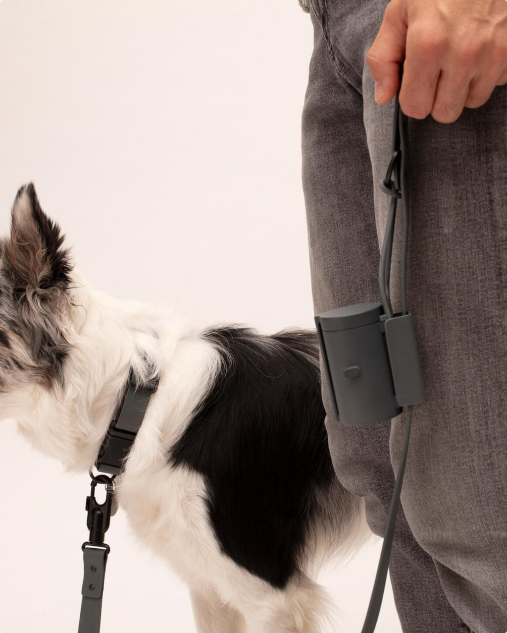 Signature Leash