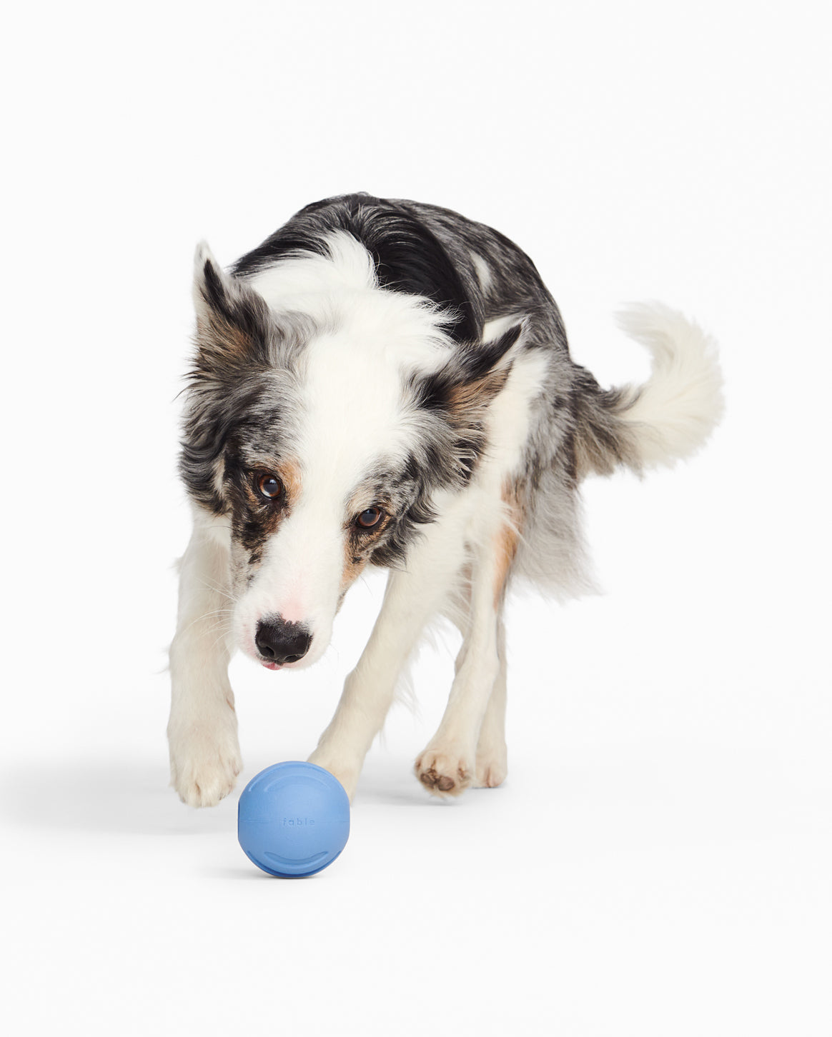 Signature Ball (Pack of 3)